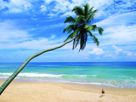 Palm tree and surfer, Hikkaduwa beach, island of Sri Lanka, Indian Ocean, Asia